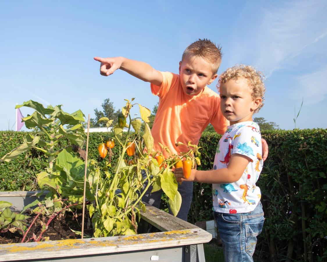 Camping De Molenhoek Kamperland